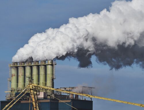 El efecto global del impuesto al carbono en frontera de la UE